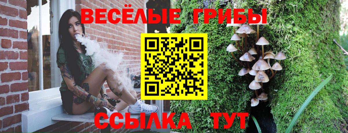 Галлюциногенные грибы MAGIC MUSHROOMS Сатка